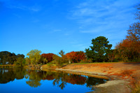 Fall Reflections