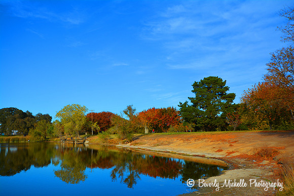 Fall Reflections