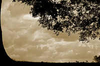 Sky Scene
