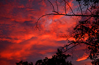 Red Sky at Night...