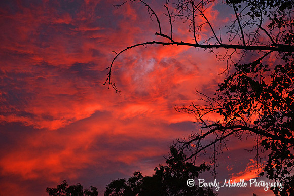 Red Sky at Night...